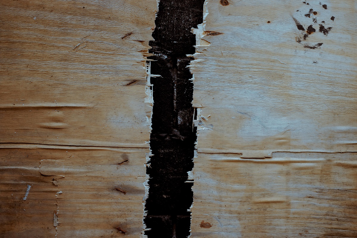 wooden surface with visible termite damage