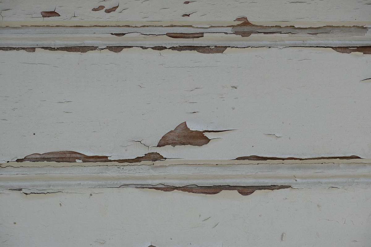 ceiling with termite damage